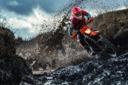 世界游泳锦标赛观赛动线优化助力提升体验，世界游泳锦标赛2021年