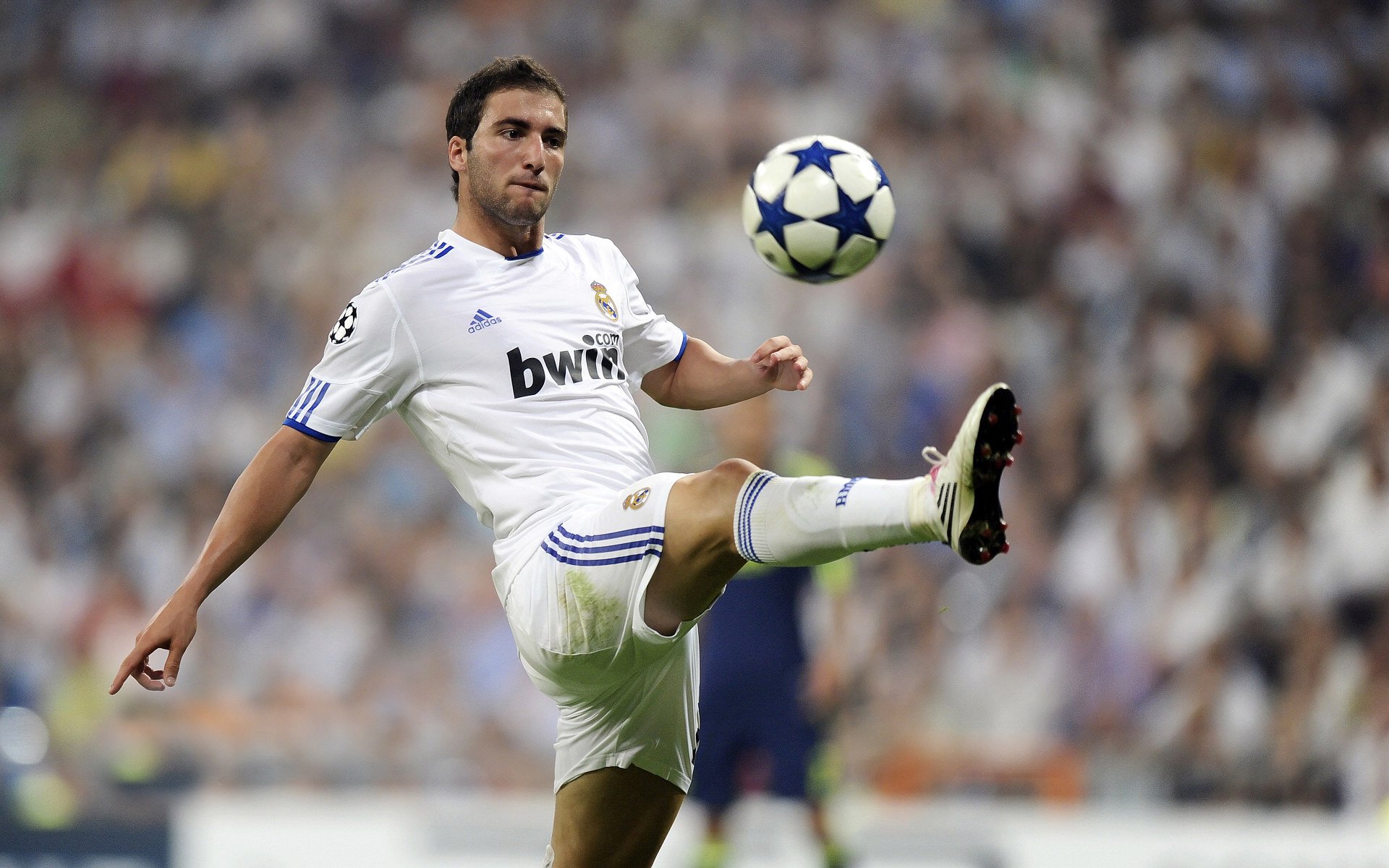 国际自由搏击争霸赛 中国选手重拳KO世界名将